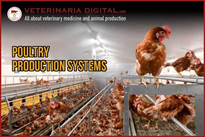 Poultry Farm Management